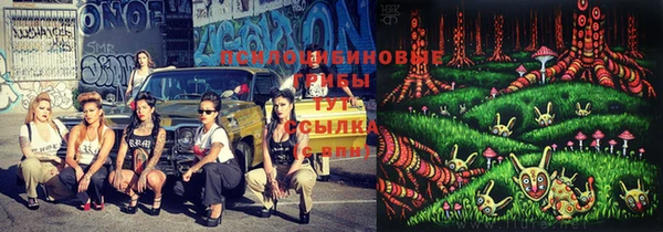 дурь Абаза
