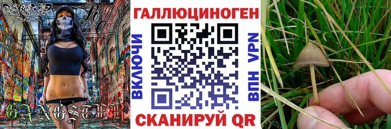 где можно купить наркотик  Нижняя Тура  МЕГА зеркало  Галлюциногенные грибы Cubensis 